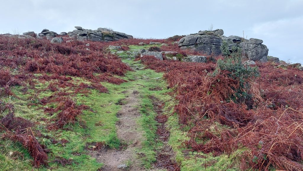 9. Approaching Hayne Rocks