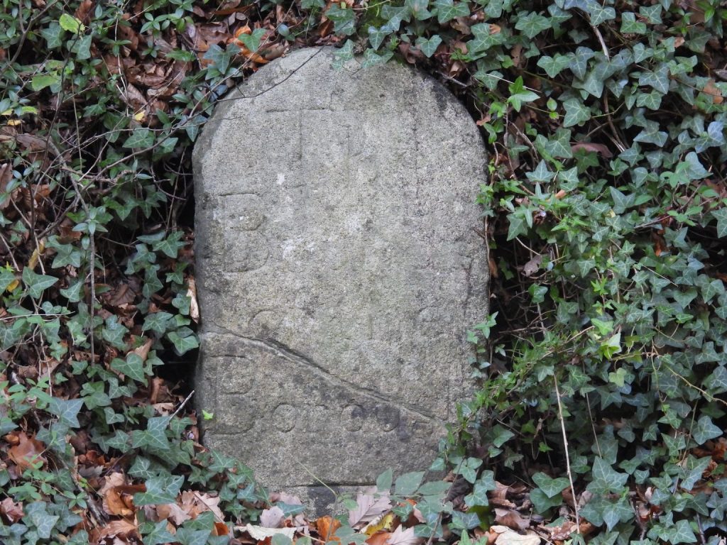 Okehampton Borough Bounds