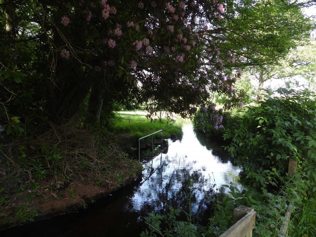 Old Mill Leat
