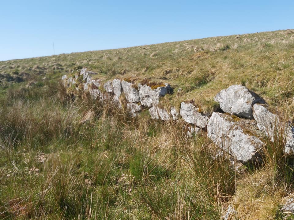 Omen Bean Tramway Loading Platform