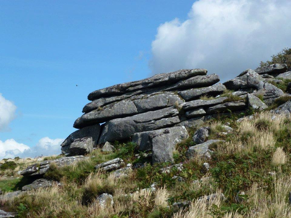 Ottery Tor (Ladybrook Tor)