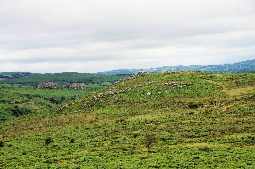 Ovals (Holwell) Tor
