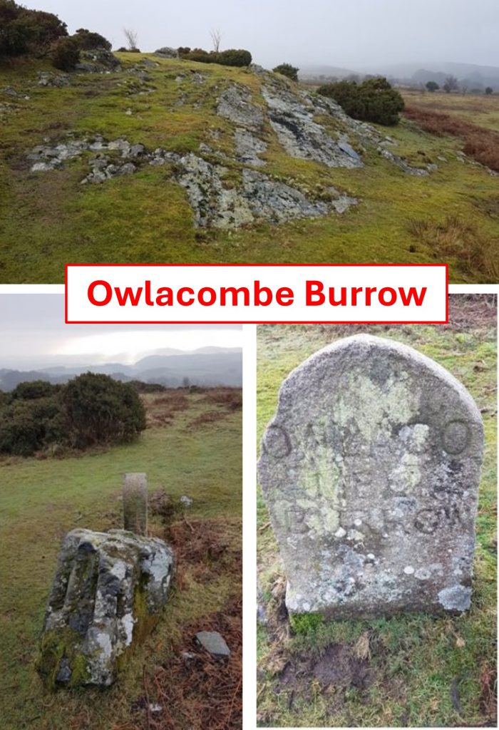 Owlacombe Burrow