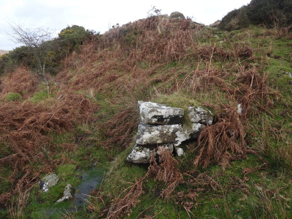 Wheal Emma Leat Structure 3