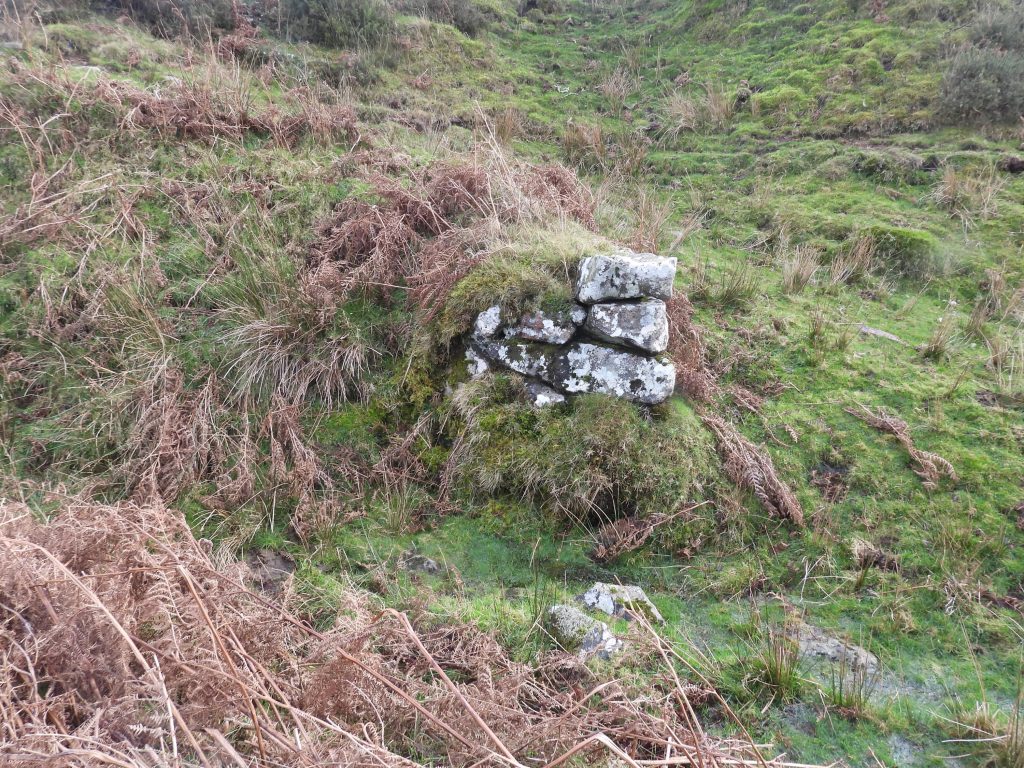 Wheal Emma Leat Structure 5