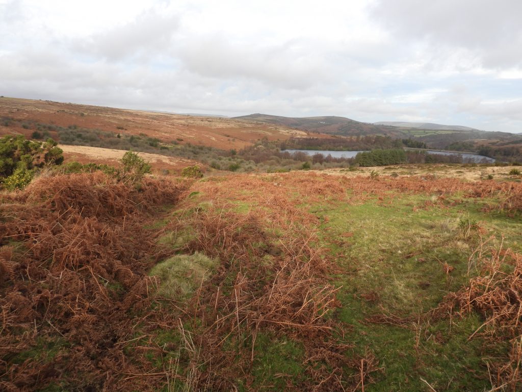 Wheal Emma Leat Structure 7