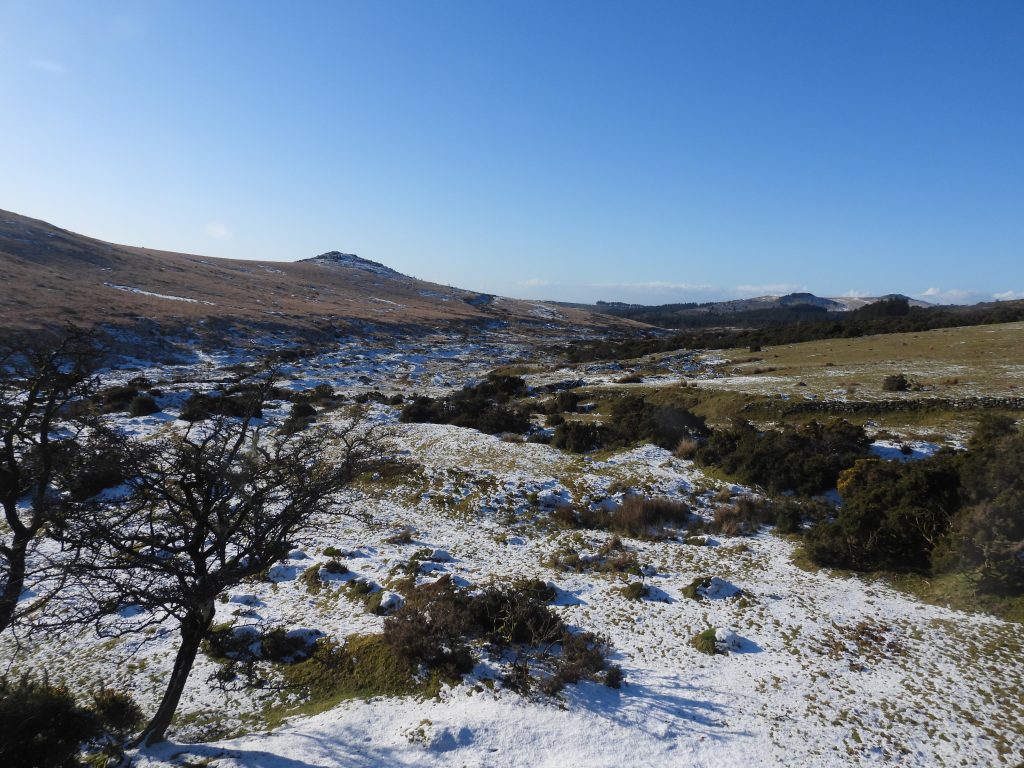 1. Newleycombe Valley