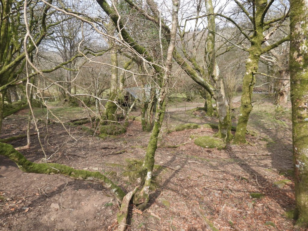 10a. View across the three buddles