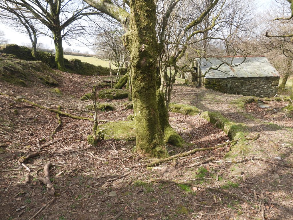 10c. View across the three buddles