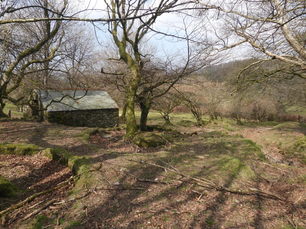 10d. View across buddles 1 & 2