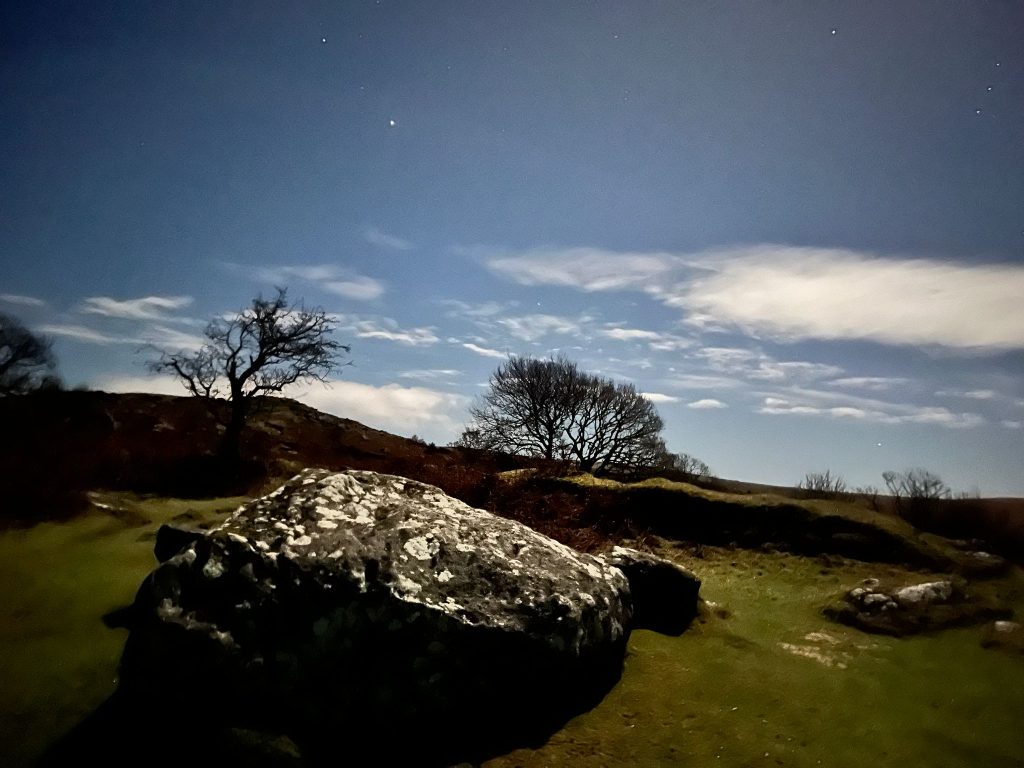 11a. Field near Norsworthy