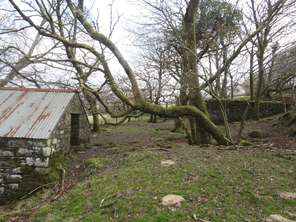 11c. Blacksmiths Shop