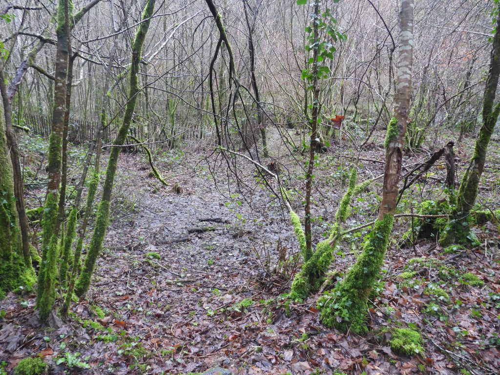 13. Mine area near Viaduct