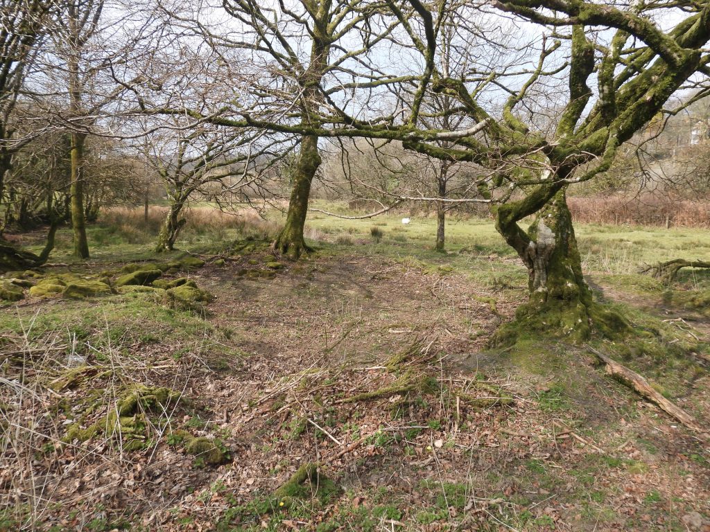 13. Site of Holditch Farmhouse