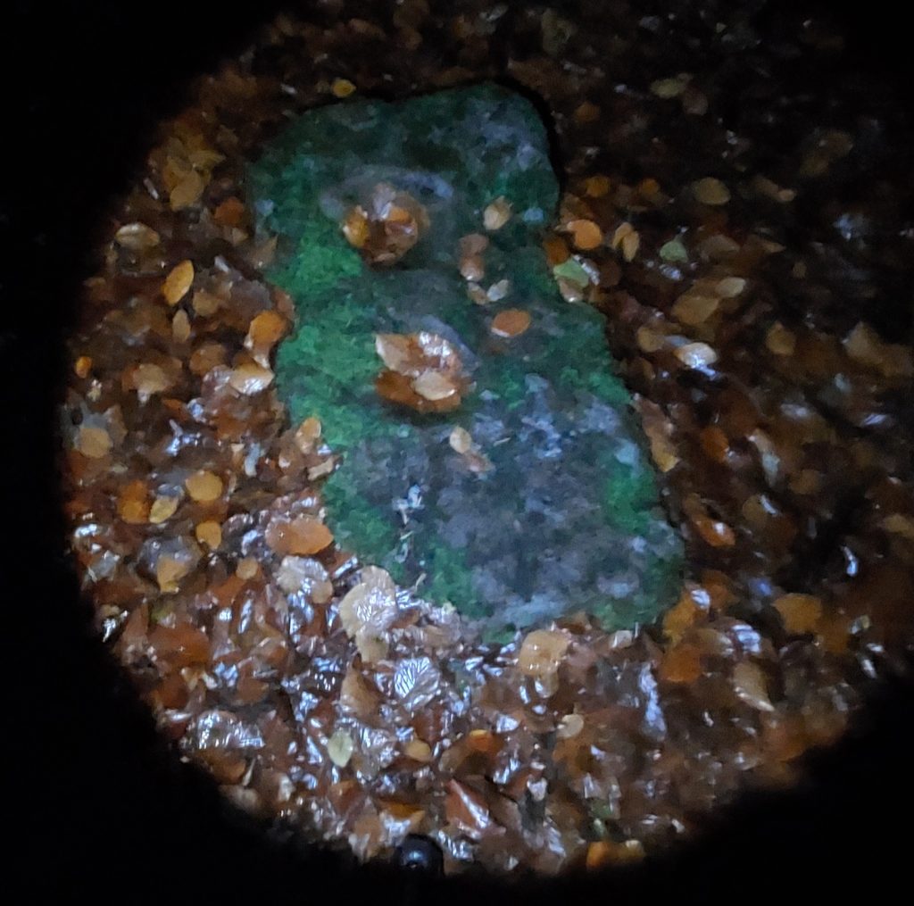 13a. Mortar at Meavy Stamping Mill