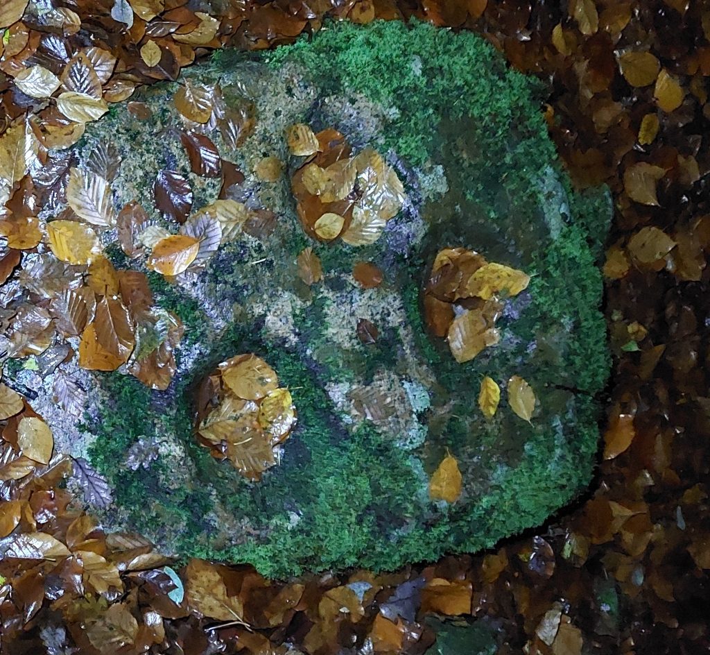 13b. Mortar at Meavy Stamping Mill