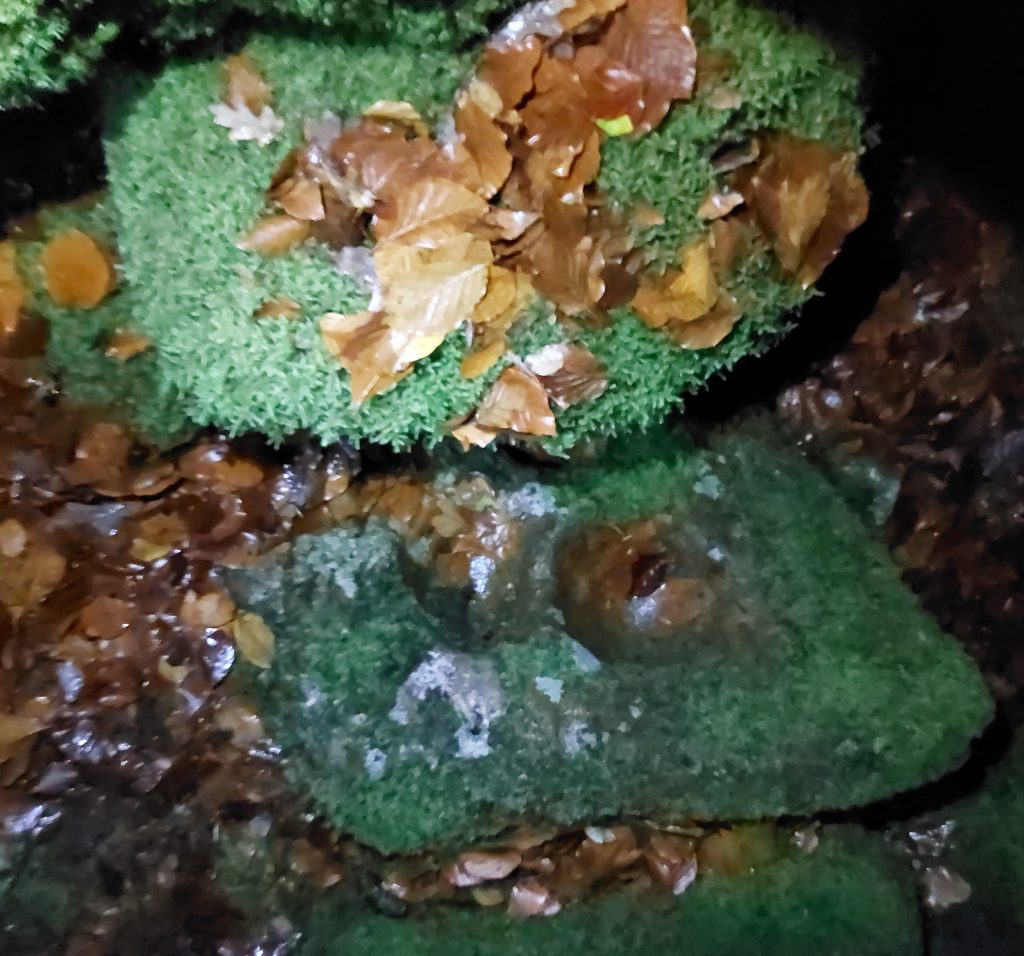 13c. Mortar at Meavy Stamping Mill