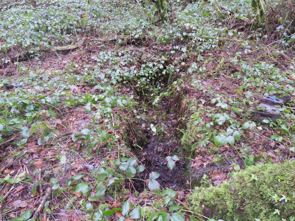 18a. Part of Dressing Floor