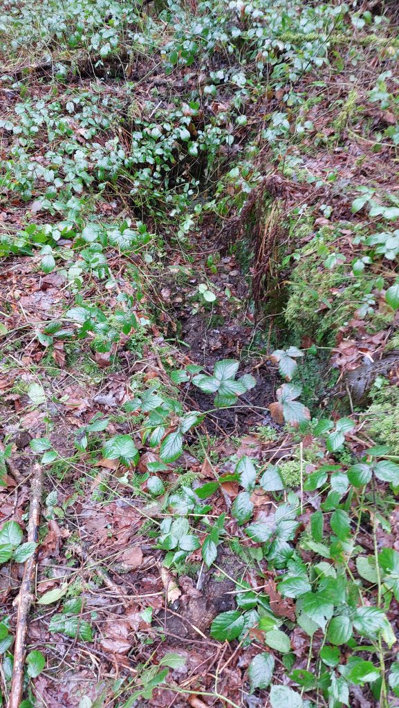 18b. Part of Dressing Floor