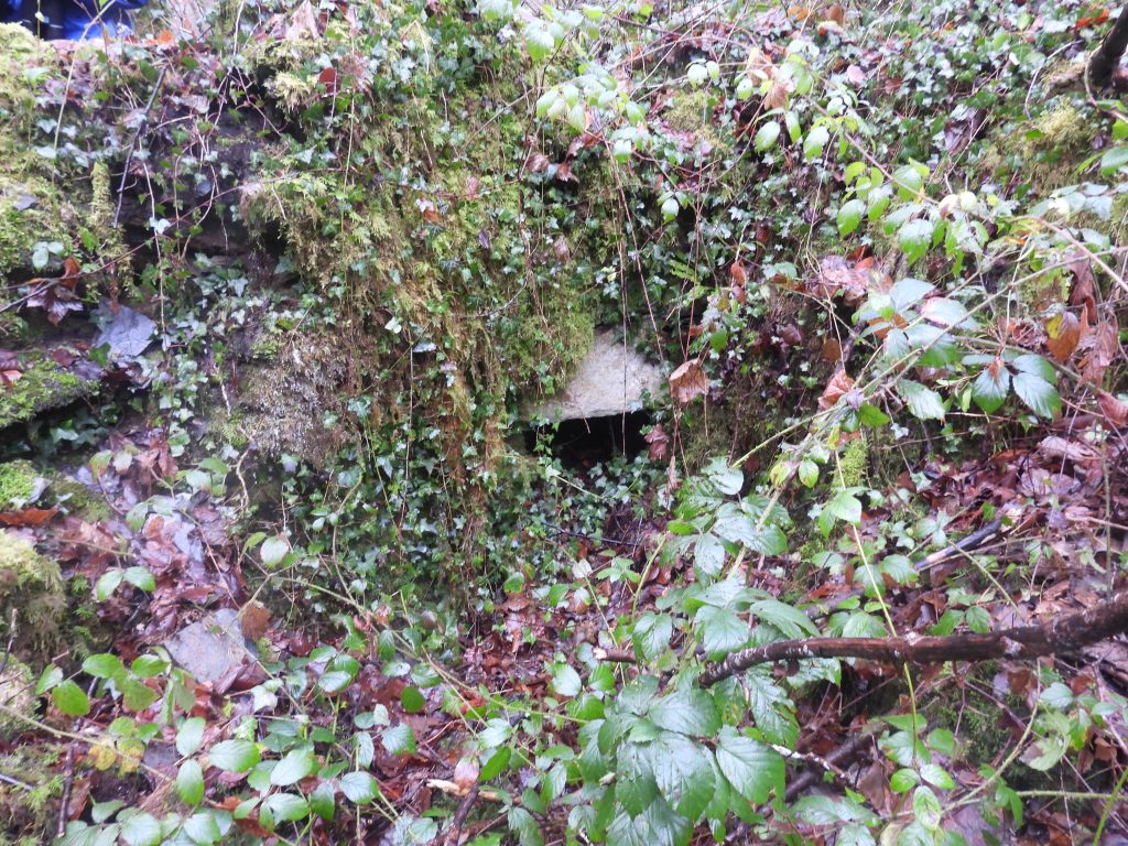 19e. Possible Fireplace