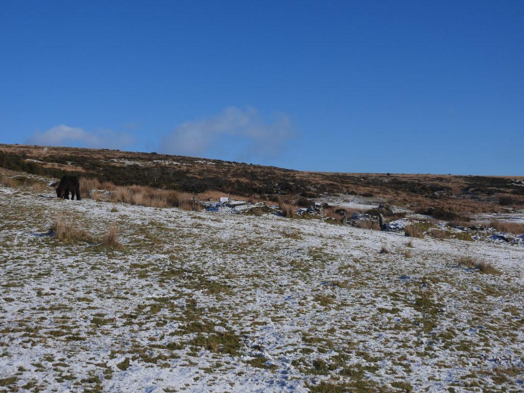 1a. Farm approach from the west