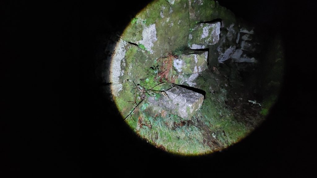 1a. Norsworthy Steps