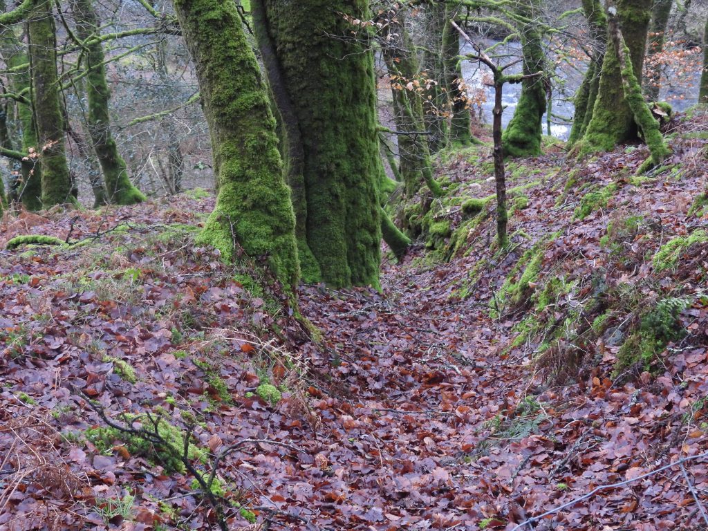 1e. Flat Rod Channel