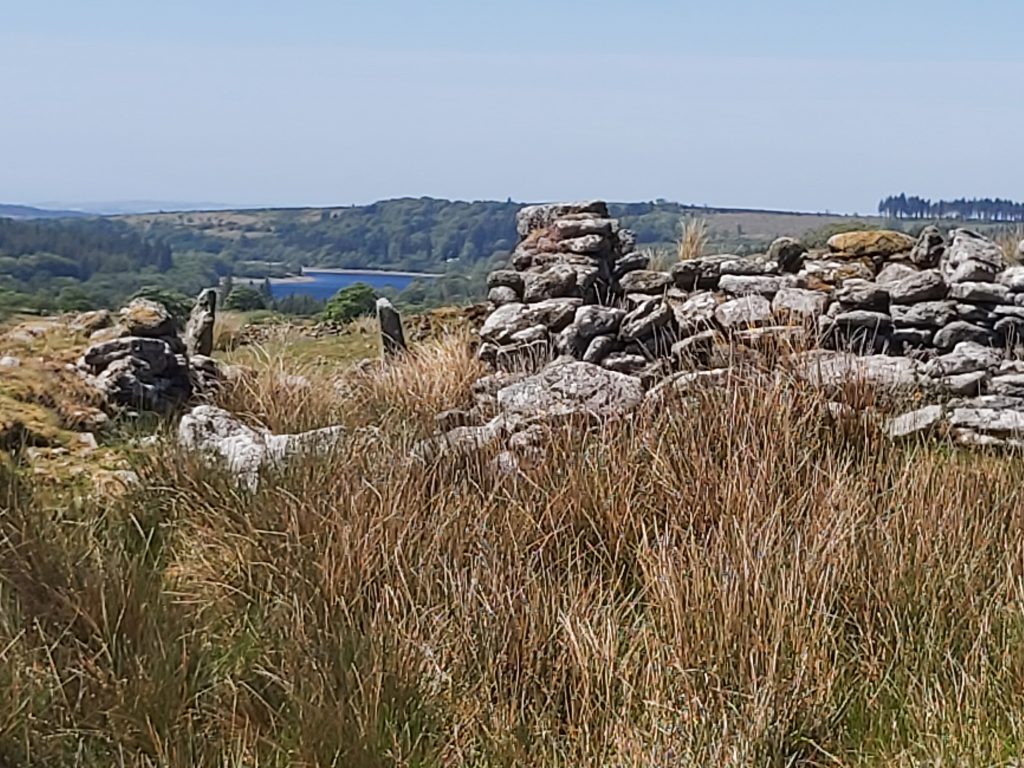 22. Farm general view