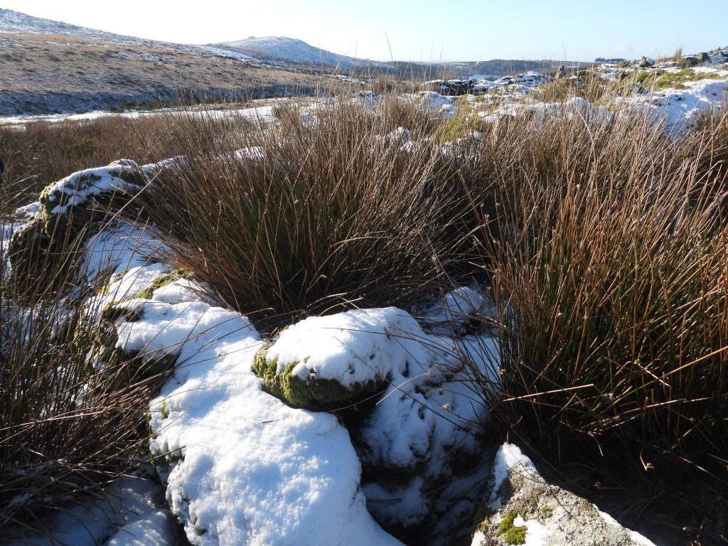 23a. Structure SE corner