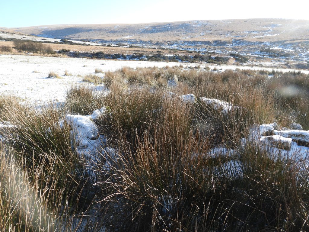 23b. Structure SE corner