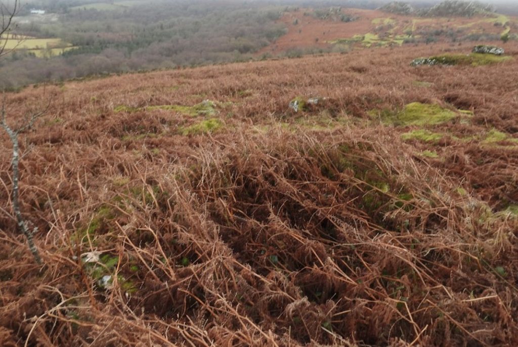 2a. Three sided structure