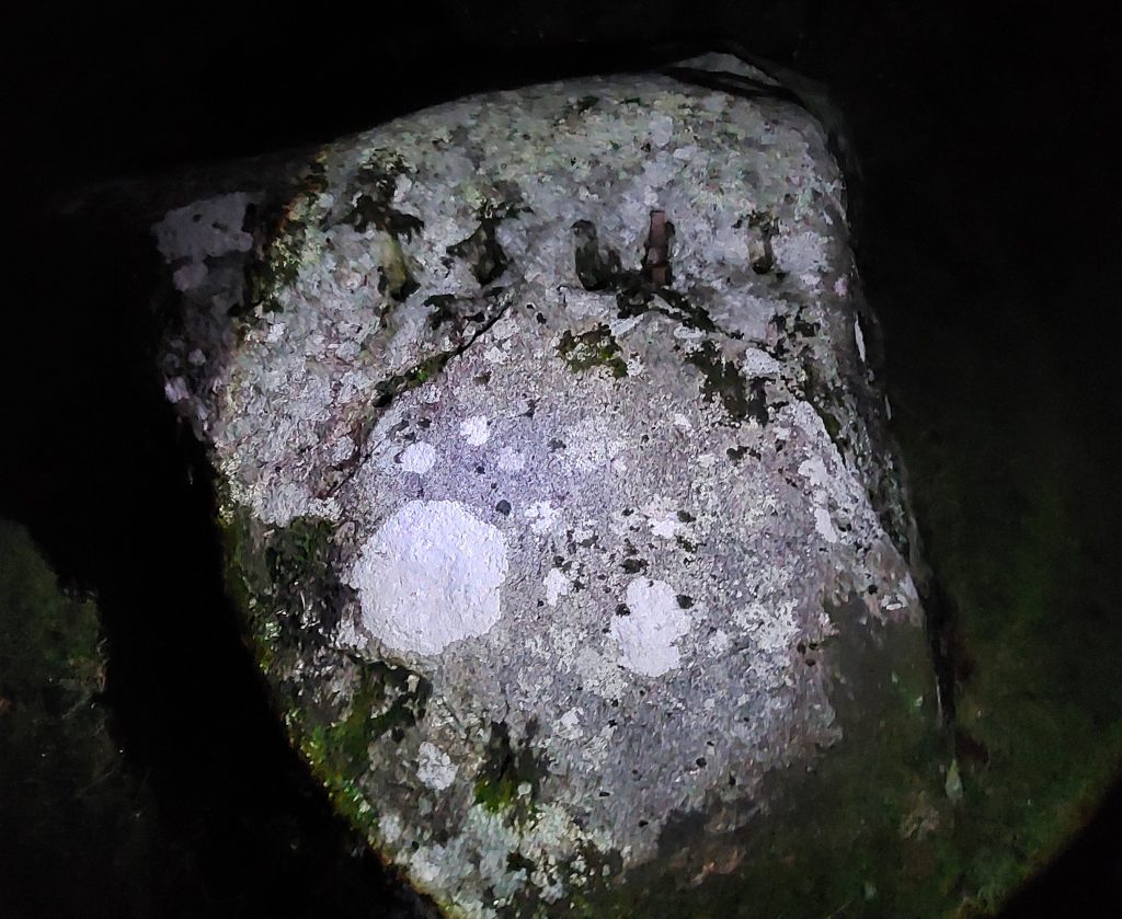 2b. Tare and Feather