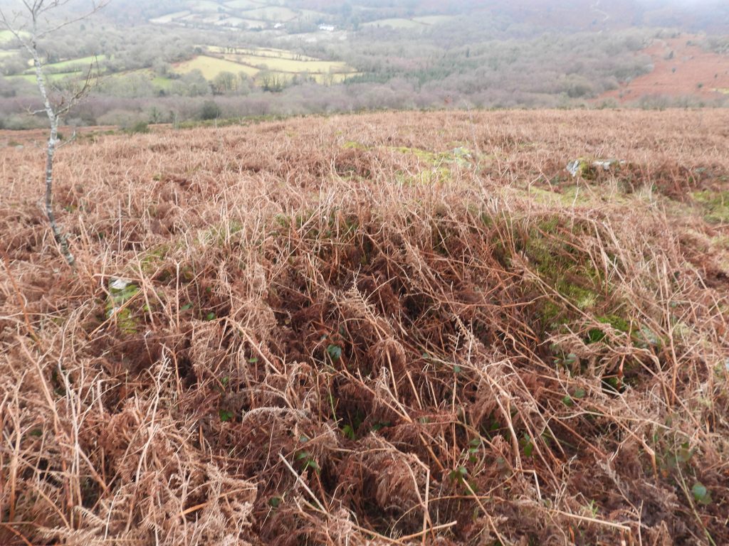 2b. Three sided structure
