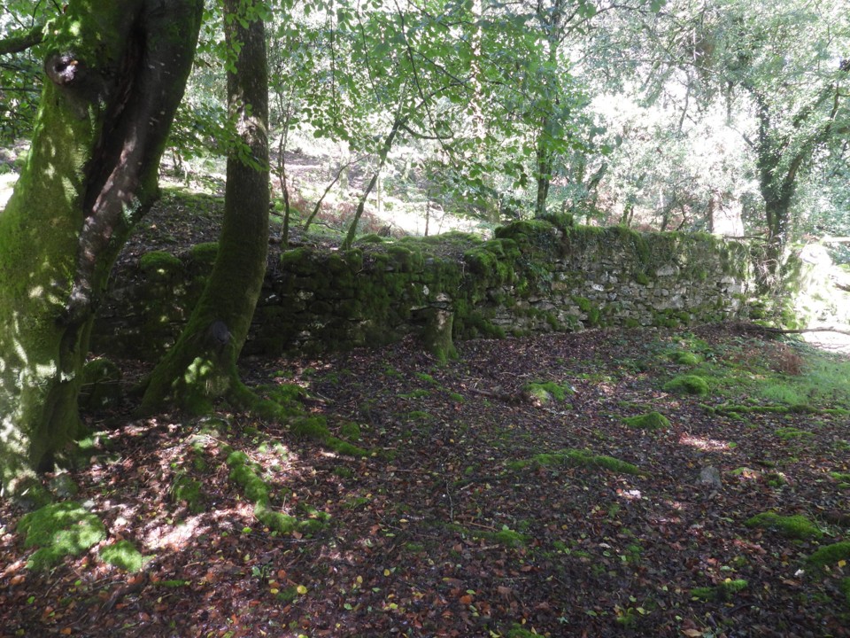 3a. Tin Dressing Floor