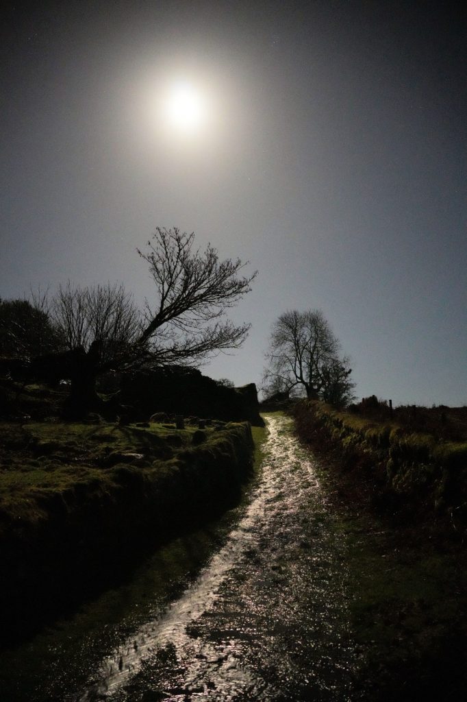 3b. Path near Deancombe