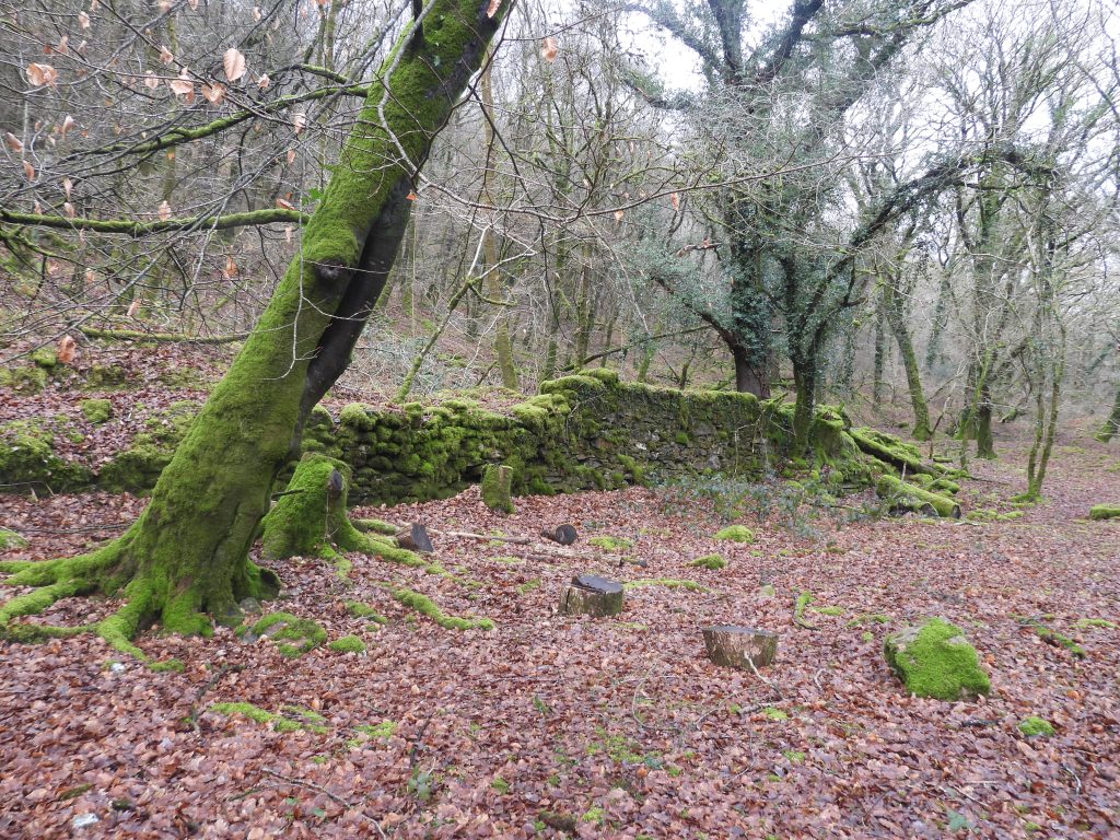 3b. Tin Dressing Floor