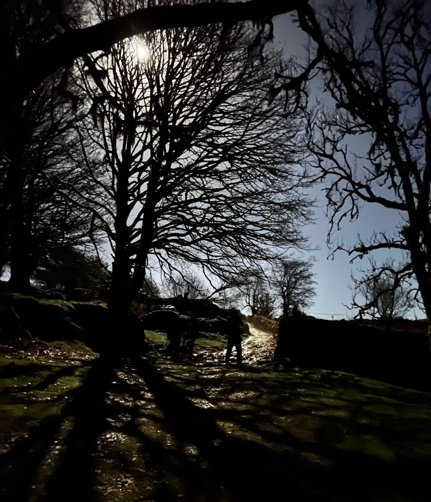3c. Path near Deancombe