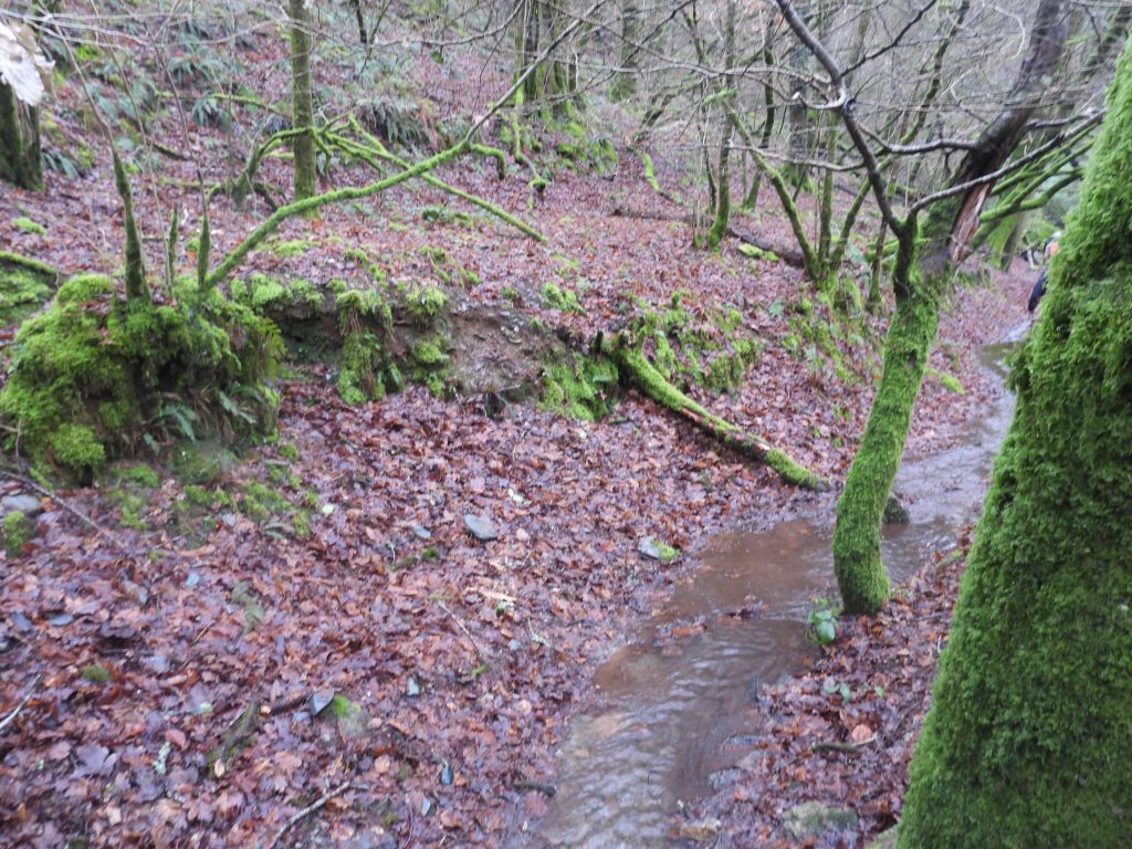 4a. Leat near viaduct