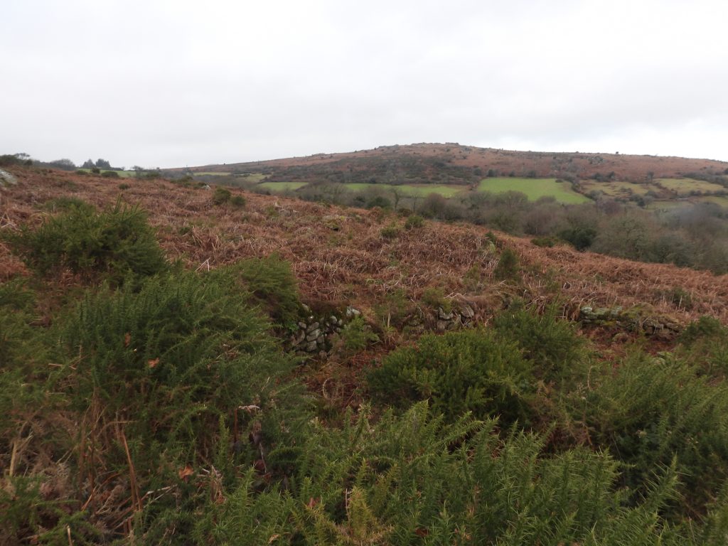 4a. Overlooking Hound Tor 2