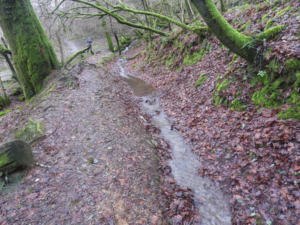 4b. Leat near viaduct