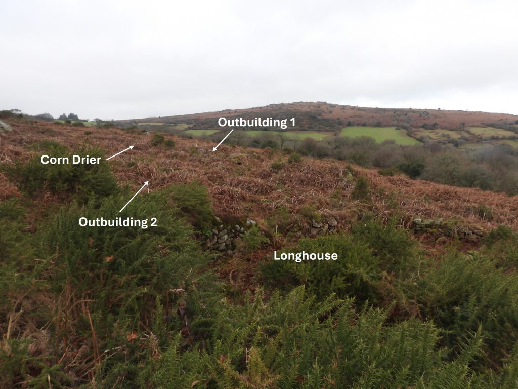 4b. Overlooking Hound Tor 2