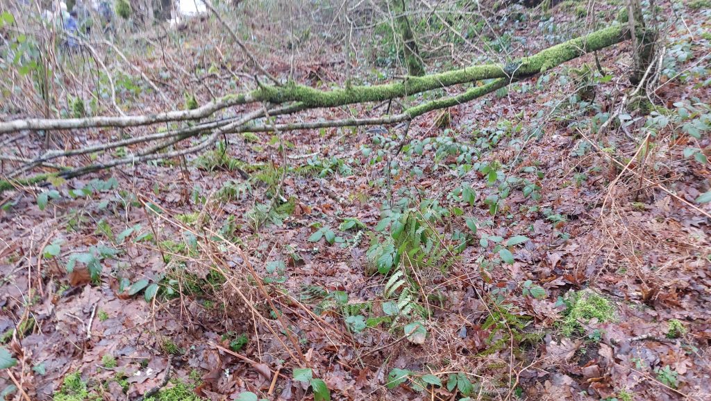 5a. Building - Structure