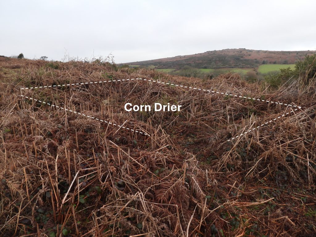 5b. Corn Drier