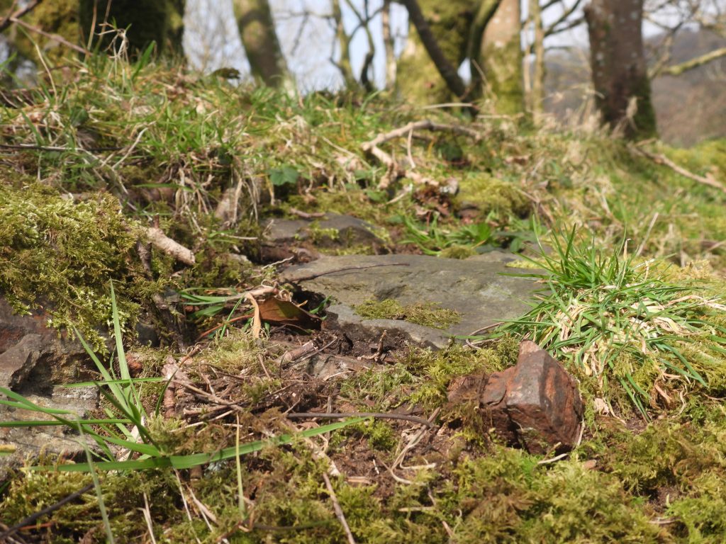 5b. Nut of Wheelhouse