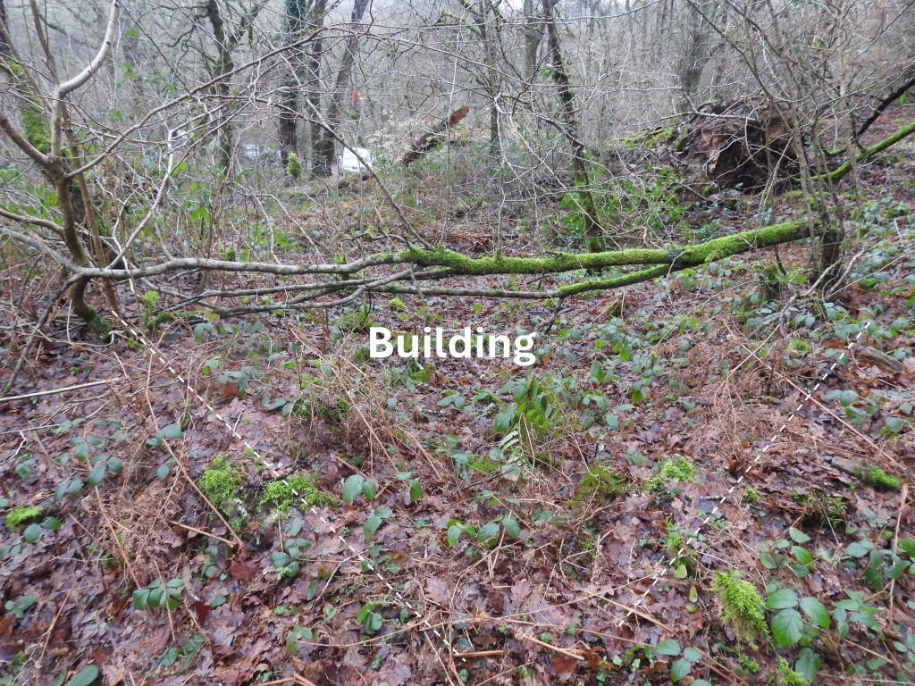 5c. Building - Structure