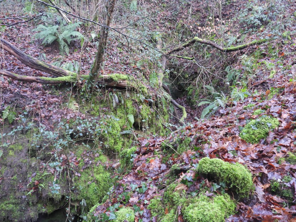 6. Adit above Tramway Points