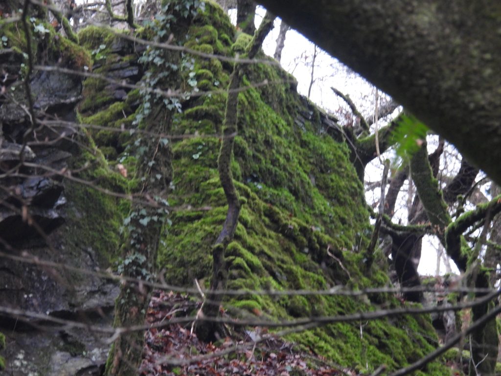 6. Arsenic Chimney d