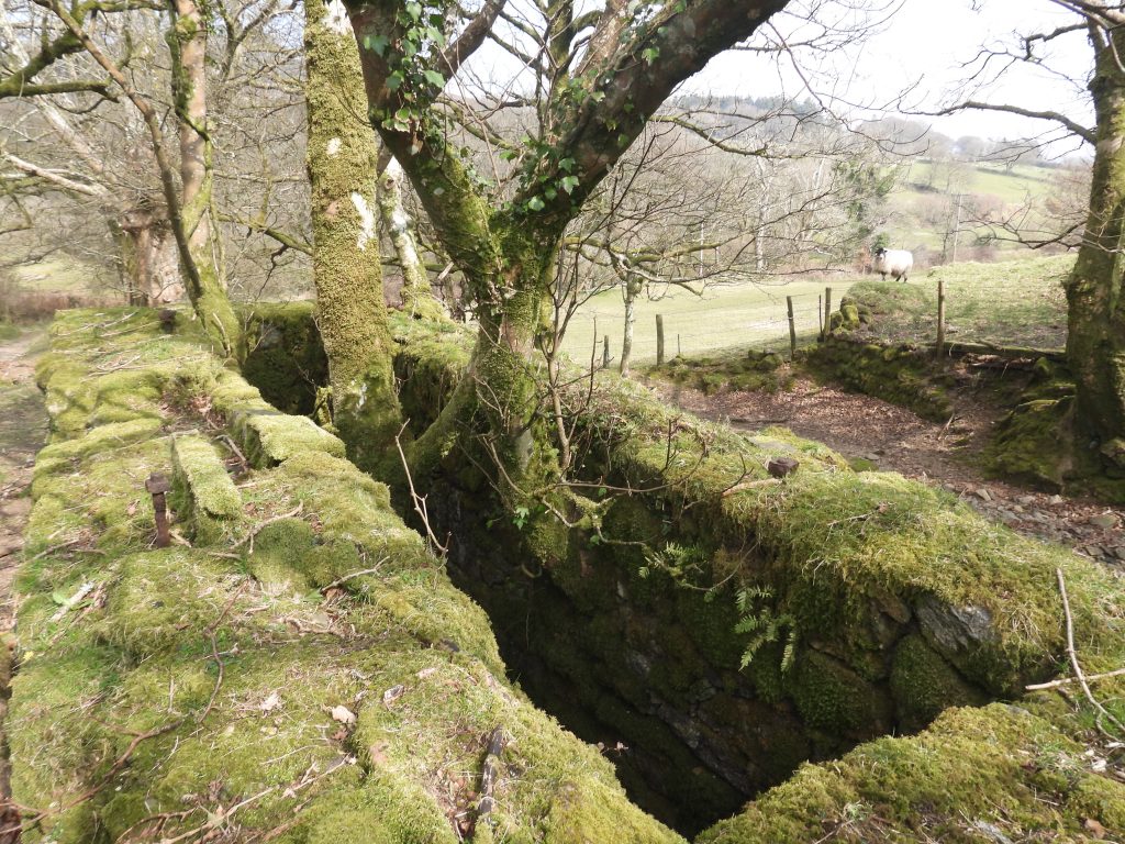 6b. Looking inside wheelhouse