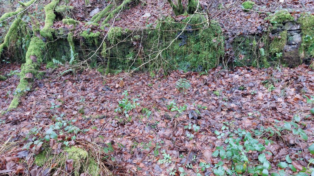 8a. Walling between Burning House and Buddles