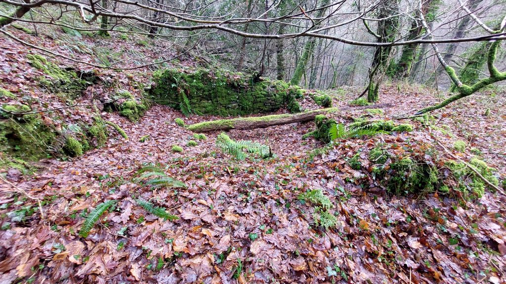 8b. Building near Tramway Points